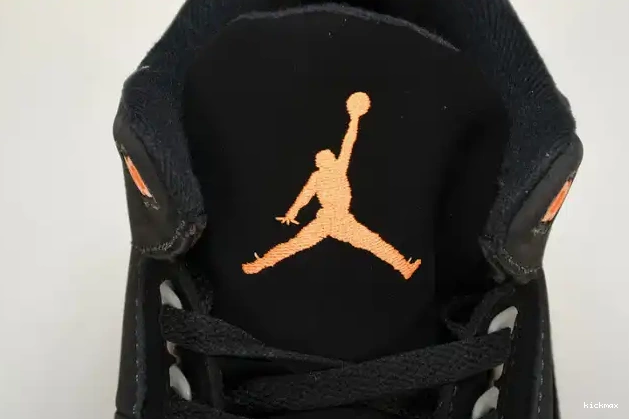Rep Jordan 3 